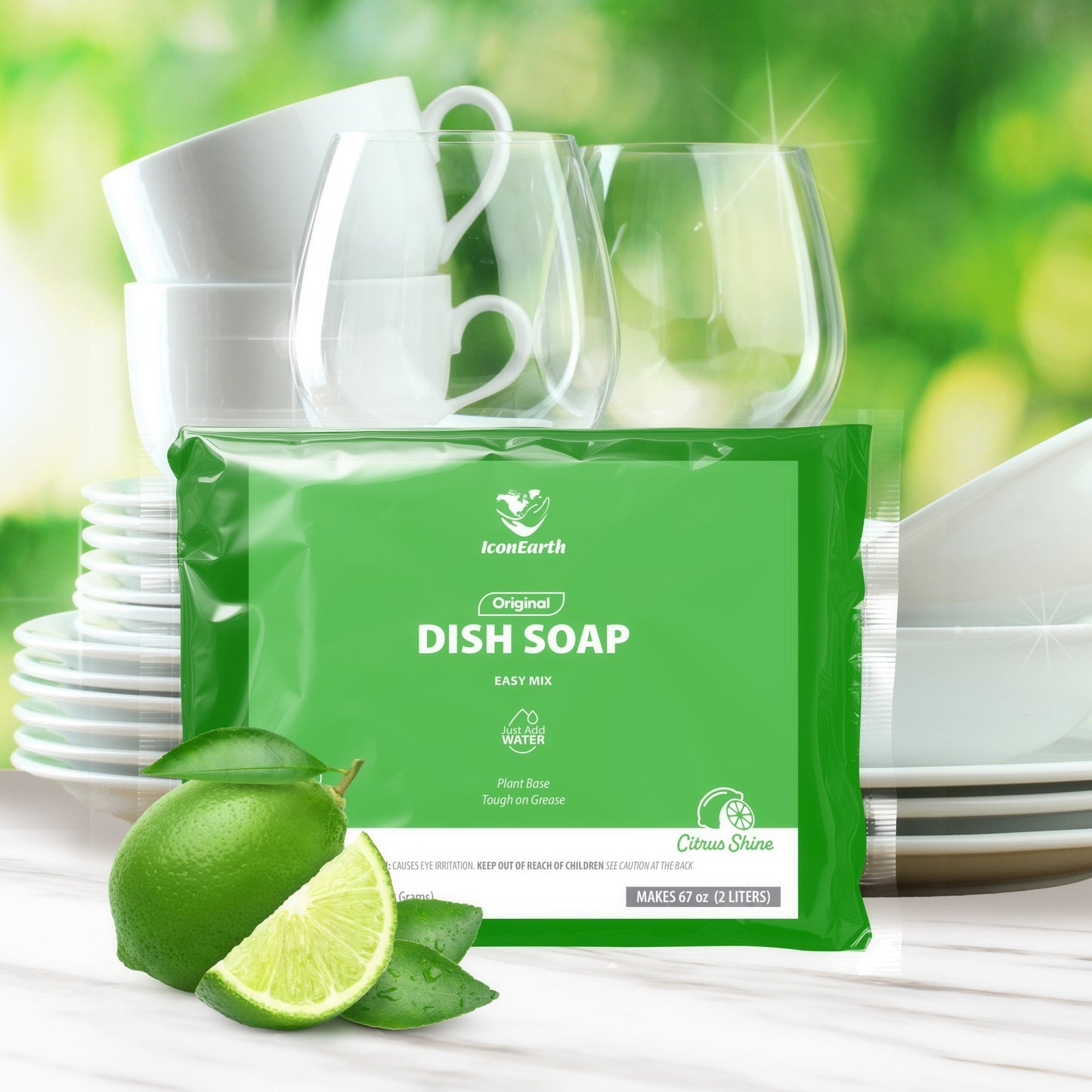 Citrus Shine Dish Soap Kit - Icon Earth