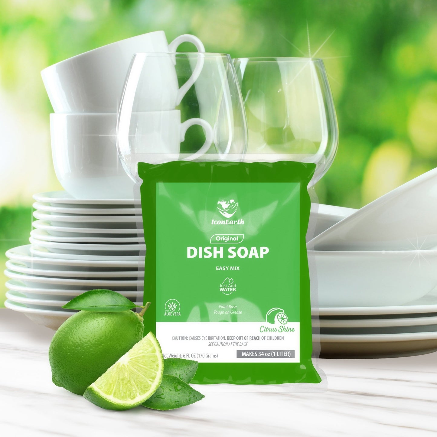 Citrus Shine Dish Soap Kit - Icon Earth